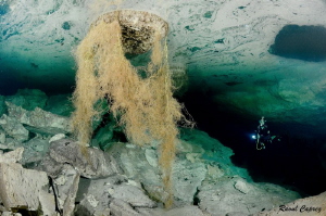 Roots of Chikin Ha cenote by Raoul Caprez 